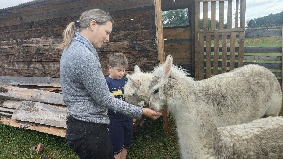 Kinder begegnen Alpakas im Rahmen eines Feriencamps