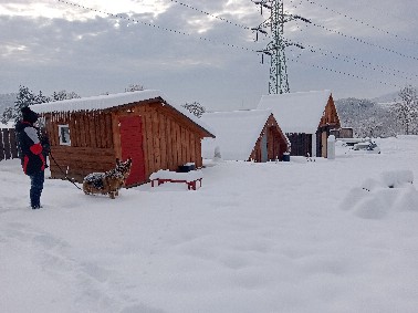 Holzhütte im Grünen mit warmem Licht am Abend